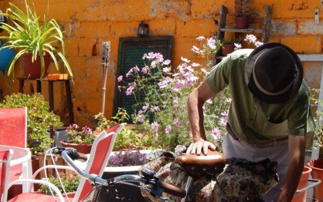 Street Garden Hostel