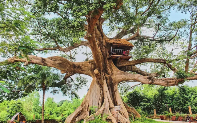 Wassado cultural lodging