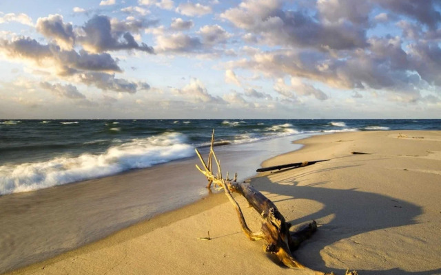 Apartment in Pobierowo Near Baltic Beach