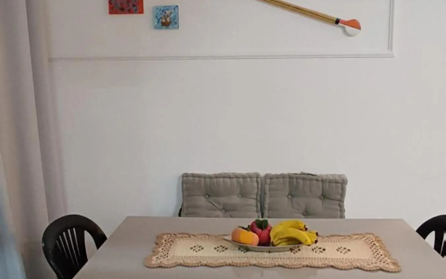 Apartamento novo nas Toninhas com Wifi