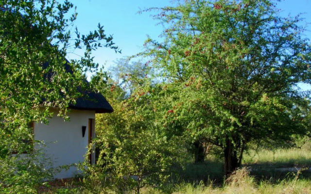 Mbizi Bush Lodge