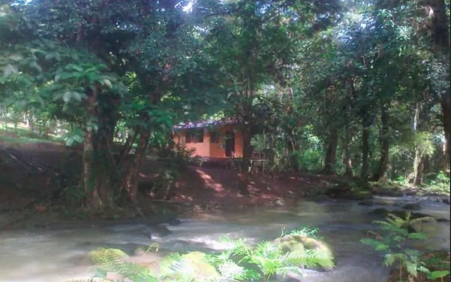 Vanilla Jungle Lodge Bed & Breakfast