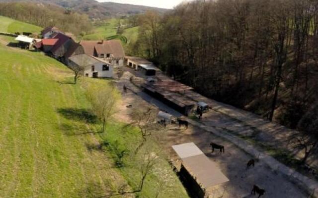 Pferdehof und Wanderreitstation Dörsam