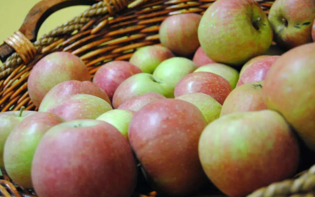 Cascina Bosco Gerolo