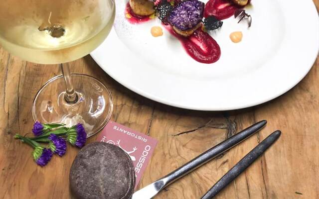 Residence Hotel Odissea