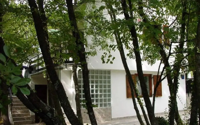 Miro - 300 m From sea - A1 Plavi