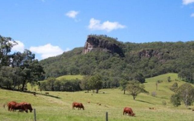 Rosevale House Bed and Breakfast