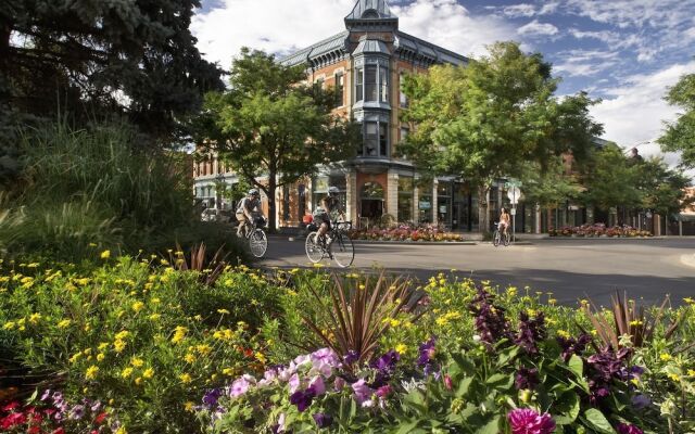 Cozy Mountain Retreat in Downtown With Hot Tub and Bikes