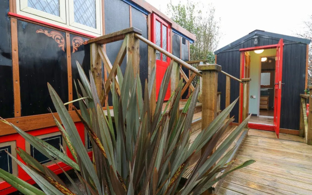 Dolly the Circus Wagon