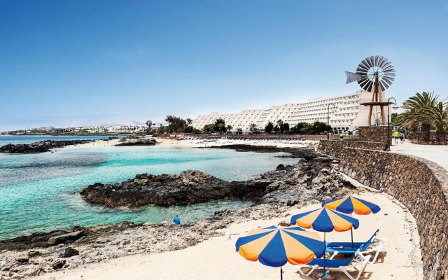 Canaryislandshost l My Nest Apartments