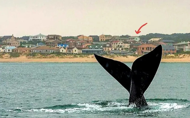 Magdamol holiday home