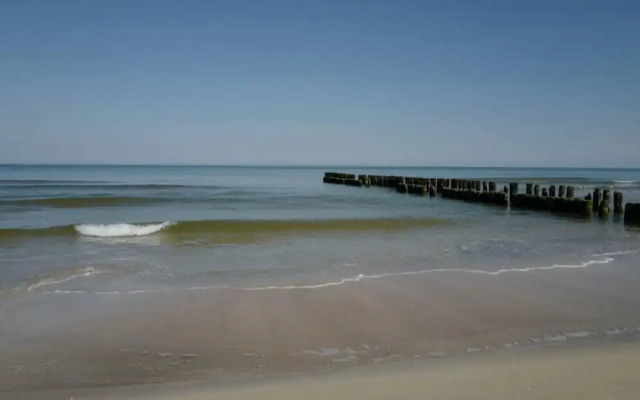 Art Forrest 33 M in Rogowo