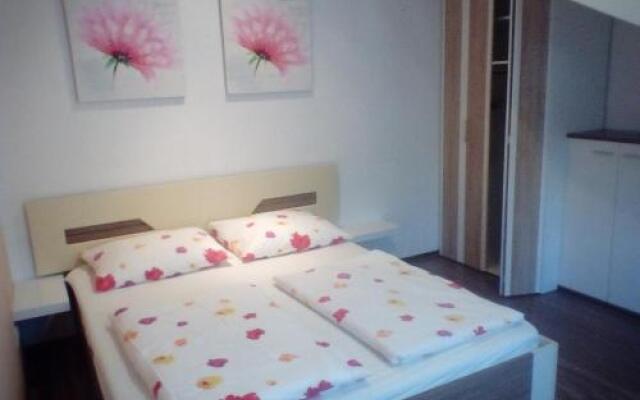 Apartments Martic Janja