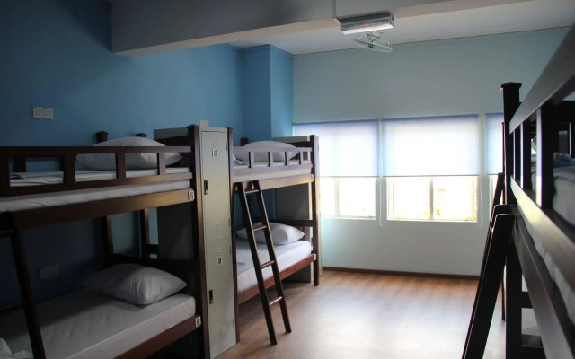 Fat Rhino Hostel