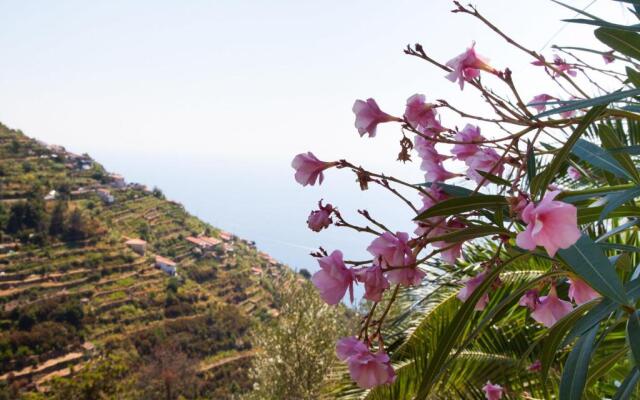 Il Nettare Agriturismo