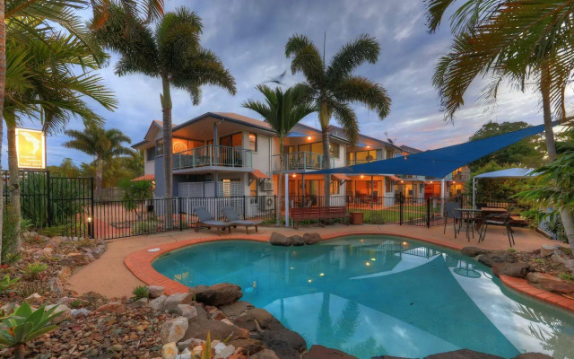 Dolphin Waters Tin Can Bay