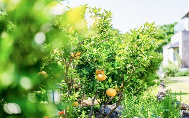 Margarret Pension and Antique Cafe