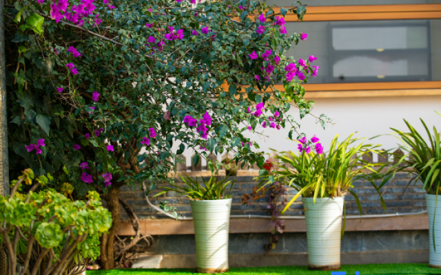 Lijiang Suyuan Homestay – Outside – Lijiang