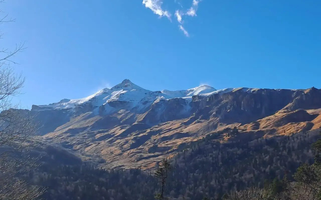 Яворова Park (Парк)