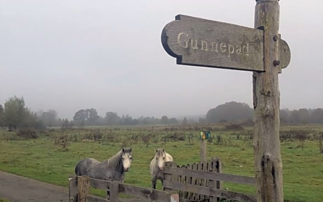 Schaap8 Bed en Breakfast
