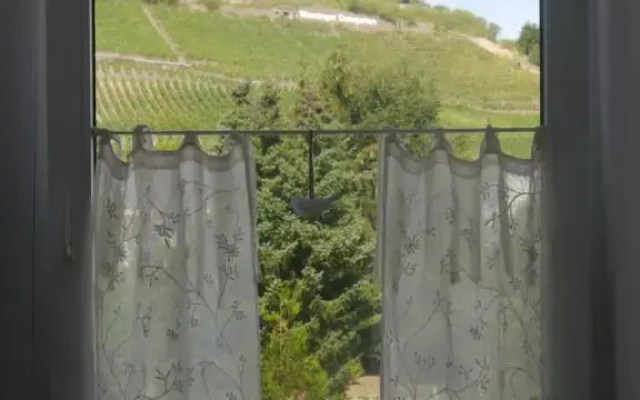 Altes Weingut Weinhaus Rebstock