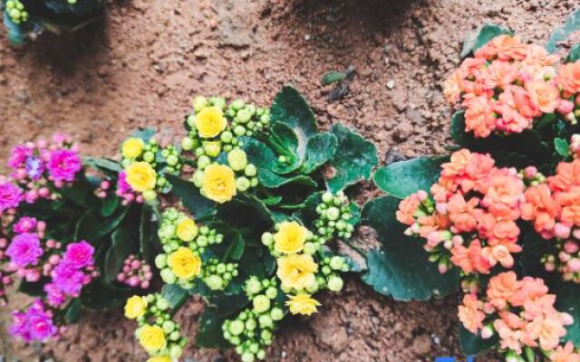 Yishibahao Courtyard Hostel