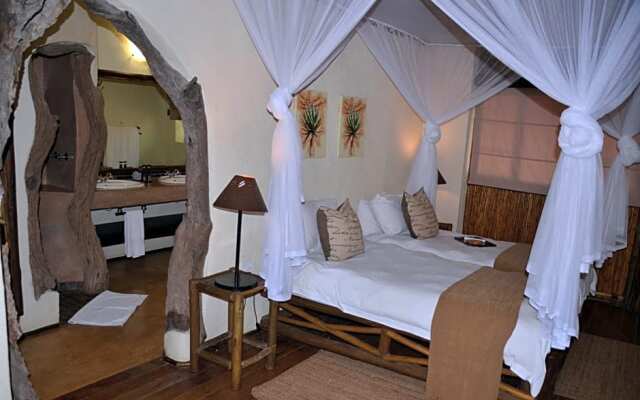 Moholoholo Forest Camp