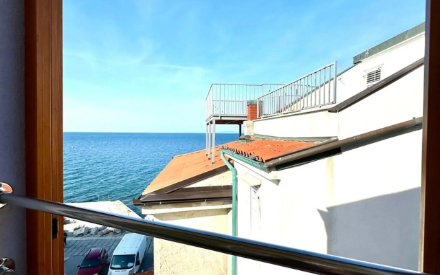 Old Piran Starfish