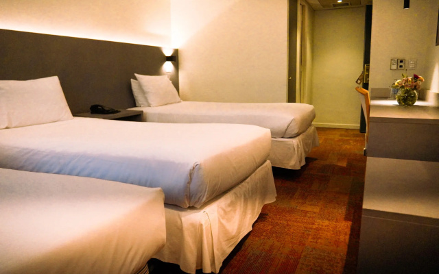 Hotel Torremayor Lyon
