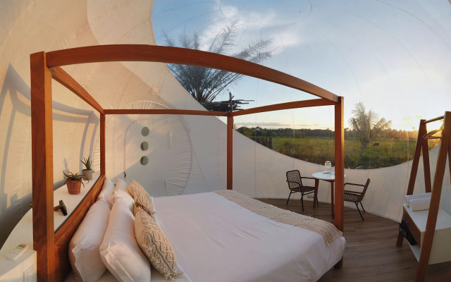 Green Land Bubble Glamping By Mint