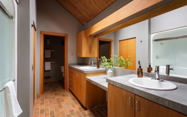 Salishan Lane - Skylight