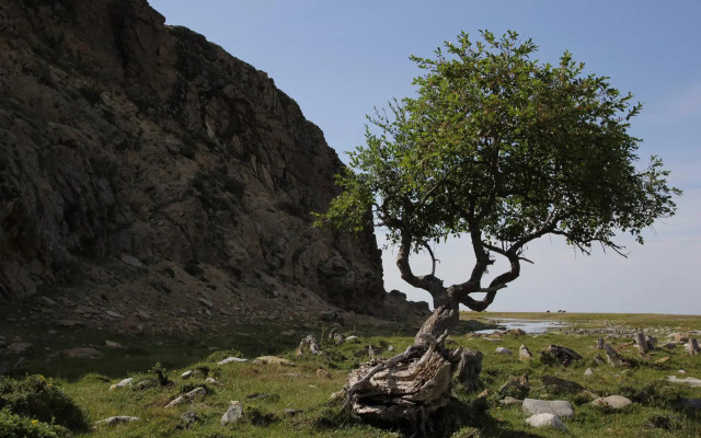 Baikal-Camp