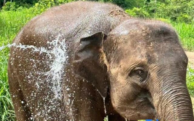 Yunsu Riverview Mesu （Splashing Square Branch）