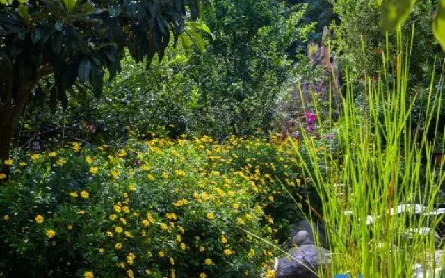 Yuanfangdejia Guesthouse