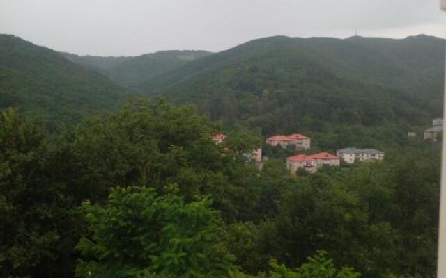 Pirosmani 66