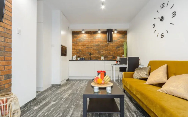 Lumina apartment on Drewnowska