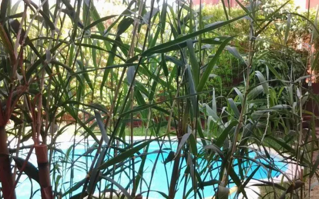 Villa River Palm