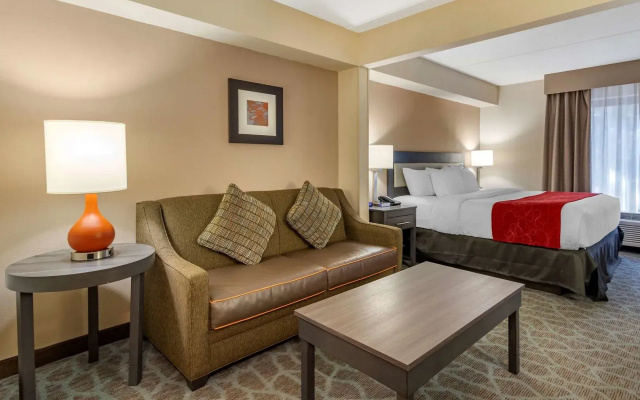 Comfort Suites Alpharetta/Roswell - Atlanta Area
