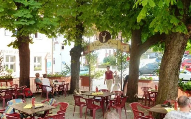 Meister BÄR HOTEL Sächsische Schweiz