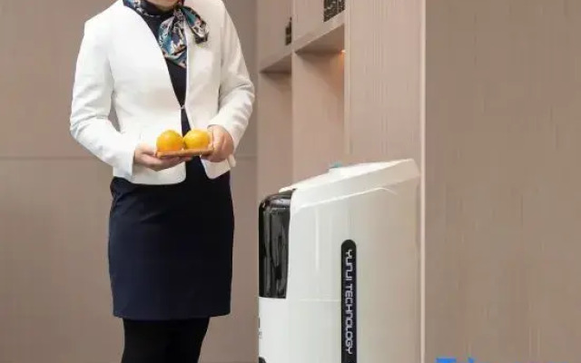 Palace Hotel (Tianjin Nanjing Road Haiguangsi)