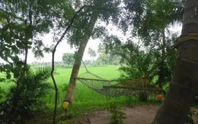 Paddy Homestay