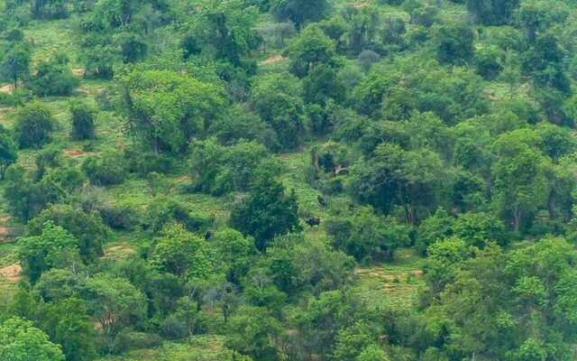 Kanthalloor Wild Stay