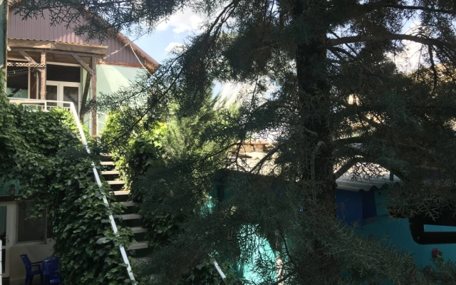 Magic Patio