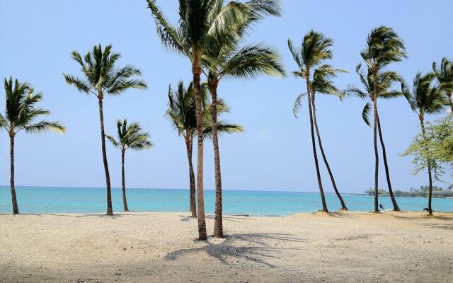 Lava Lava Beach Club