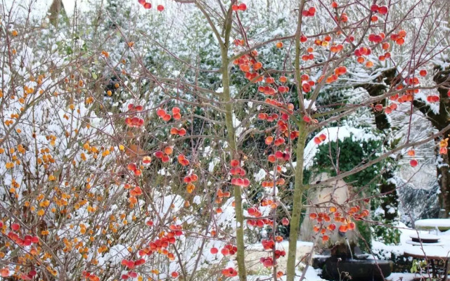 Château de la Chabroulie