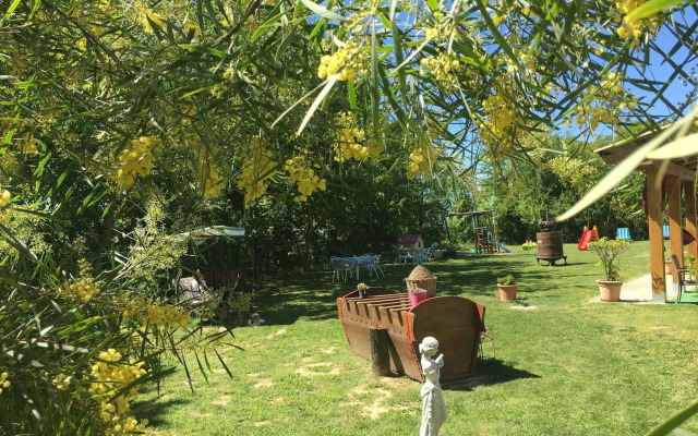 La Rosa Tra Le Vigne