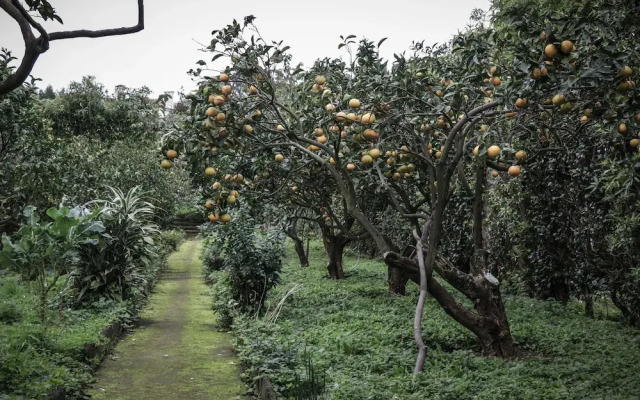 Casa do Pico da Pedra