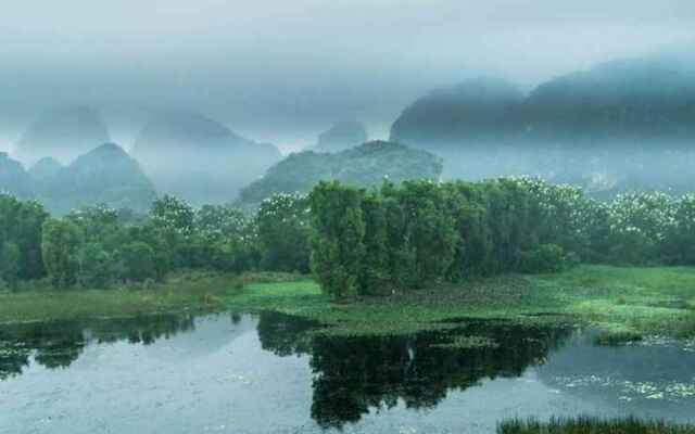 Van Long Family Homestay