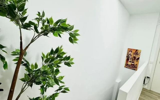 Universidad by Oshun Apartments