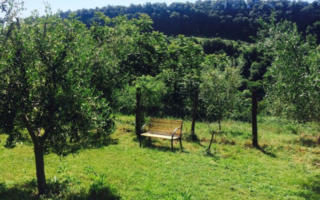 Bio Agriturismo Valle dei Calanchi